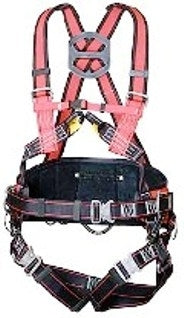 GS 061 Harness