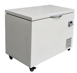 Congelatore Cryolab94 H 220L -86 ℃
