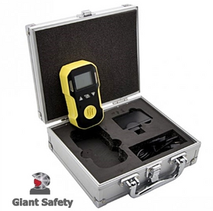 GE-90 Portable Gas Detector