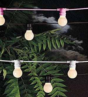 Festoon Lights 5m