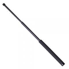 Baton